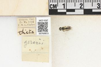 Media type: image;   Entomology 769815 Aspect: Labels